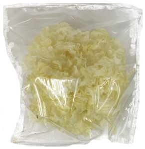 White Fungus